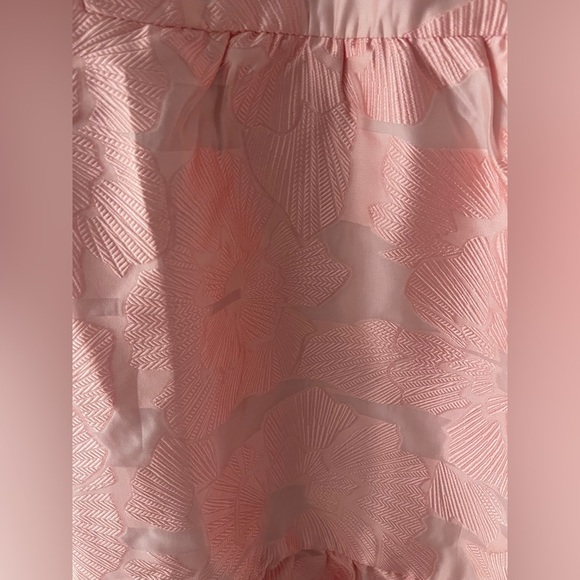 Tuckernuck Palmerston Bellini Pink Coupé Jacquard Puff Sleeve Mini Dress L - Picture 8 of 8